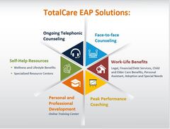 ESI Employee Assistance Group video/presentation/materials