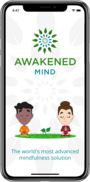 Awakened Mind video/presentation/materials