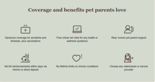 Rainwalk Pet Insurance video/presentation/materials