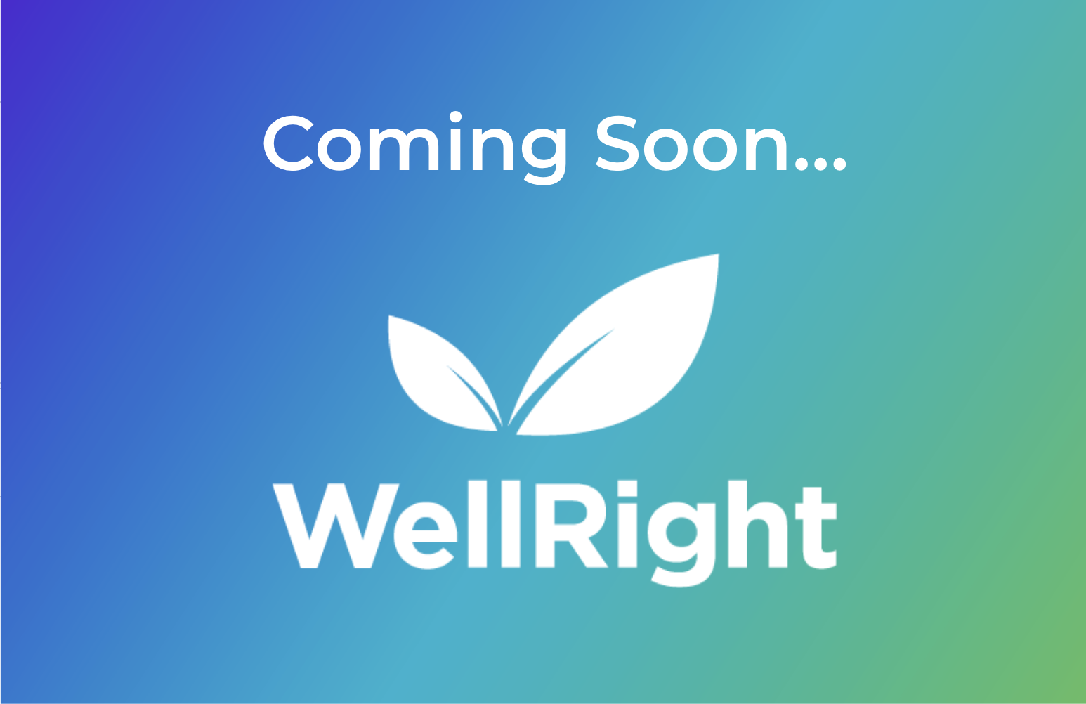 WellRight - vendor materials