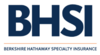 Berkshire Hathaway Specialty Insurance (BHSI)