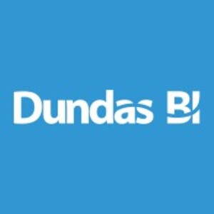 Dundas Data Visualization Inc.